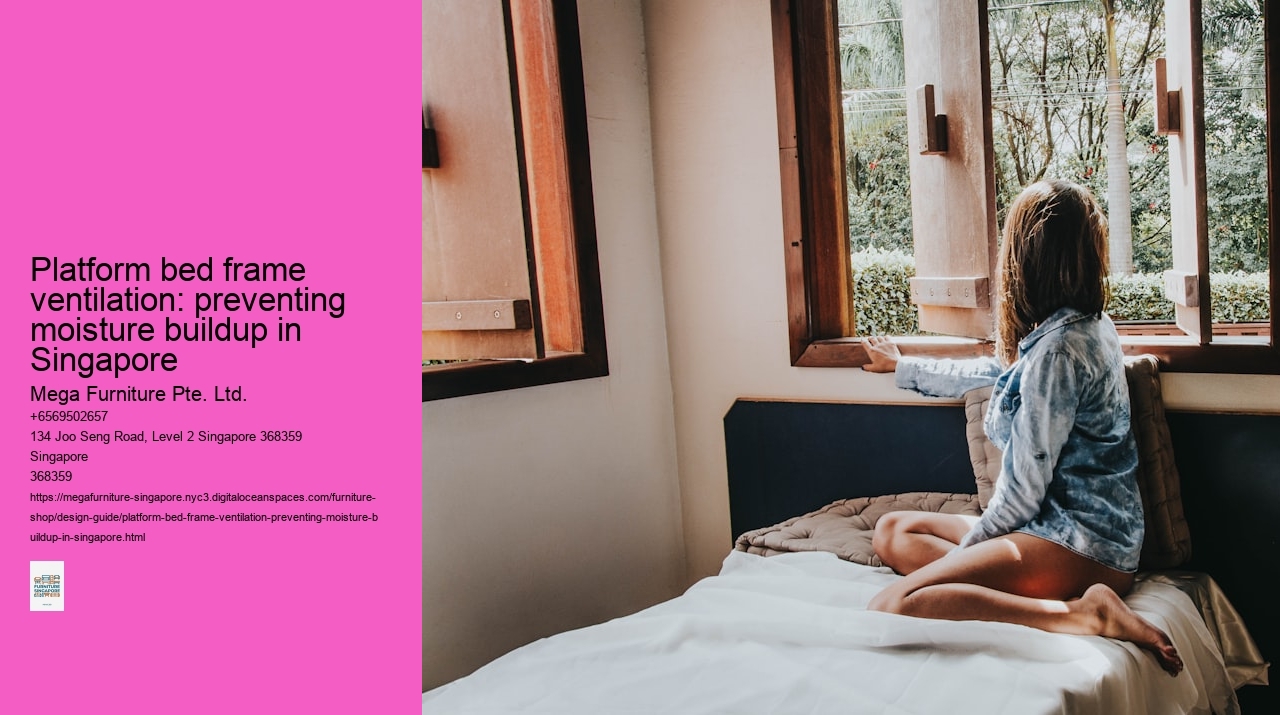 Platform bed frame ventilation: preventing moisture buildup in Singapore
