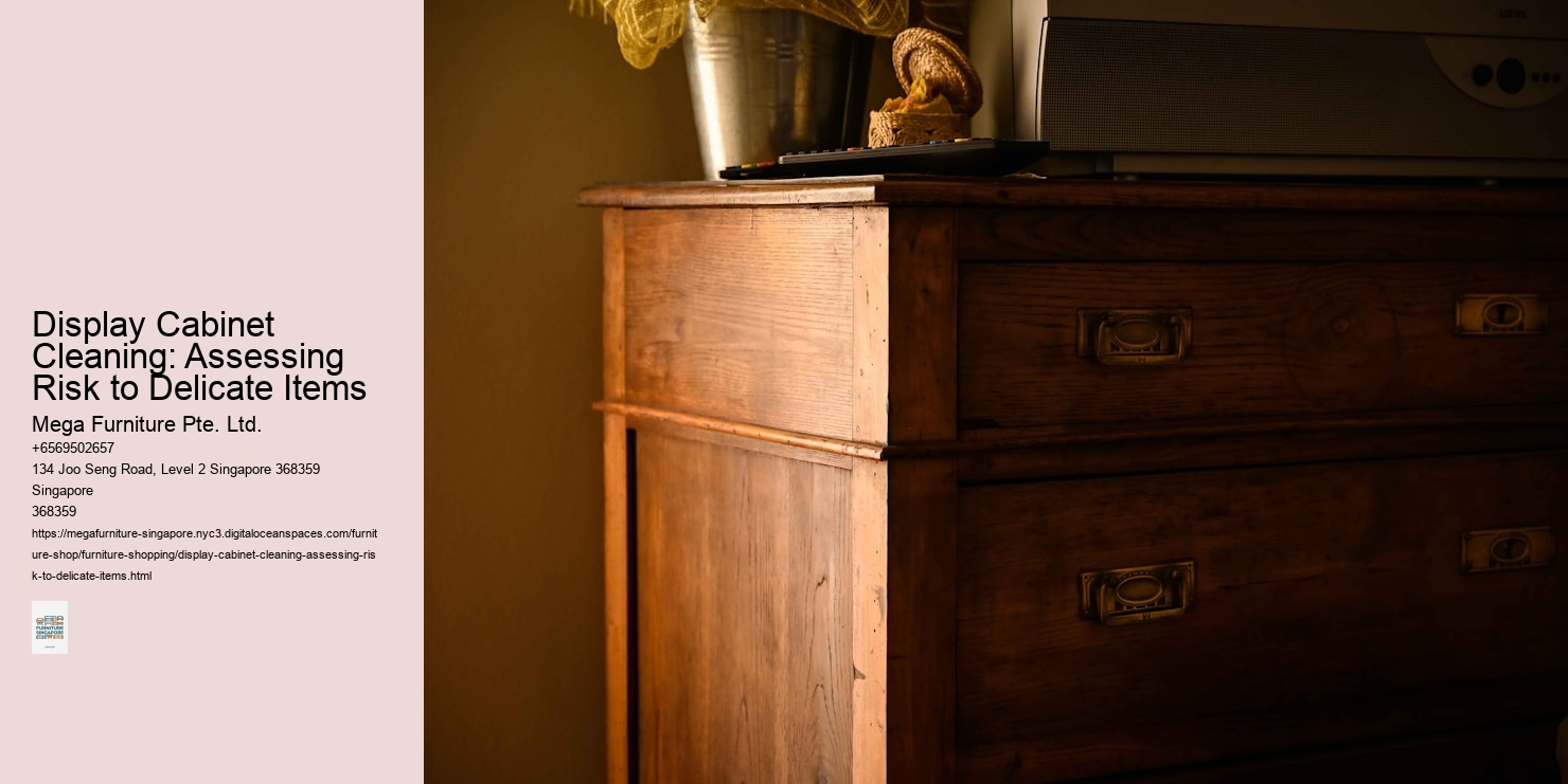 Display Cabinet Cleaning: Assessing Risk to Delicate Items