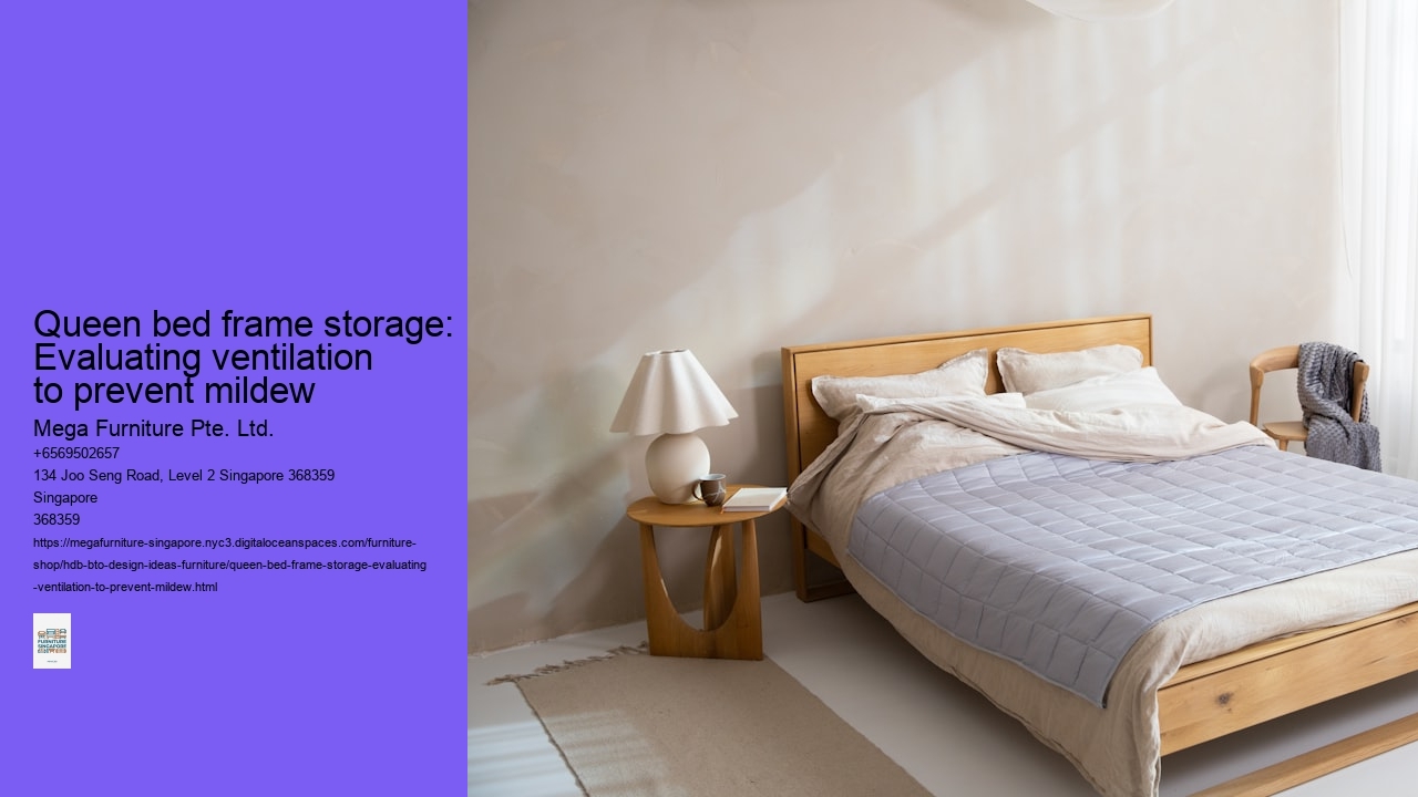 Queen bed frame storage: Evaluating ventilation to prevent mildew