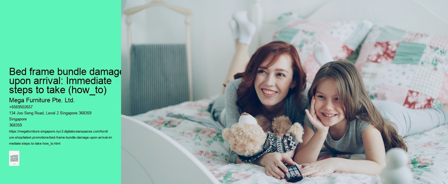Bed frame bundle damage upon arrival: Immediate steps to take (how_to) Mega Furniture Pte. Ltd. Bed frame bundle damage upon arrival: Immediate steps to take (how_to)